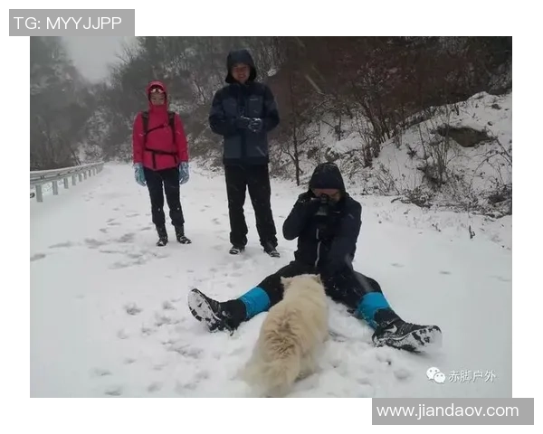 武汉极限运动队的控制与发展现状分析及未来趋势探讨