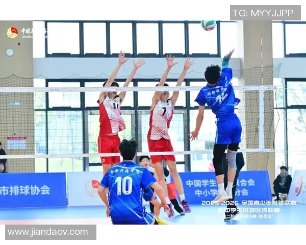 重庆排球队实力强劲荣登全国排球实力排行榜第六名引发关注